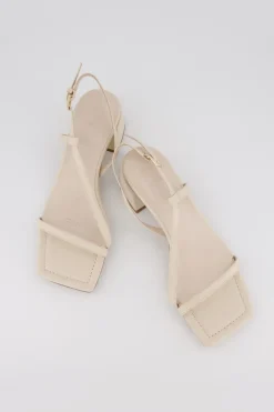 Bronwyn - Stella - Shell