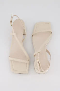 Bronwyn - Stella - Shell
