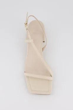 Bronwyn - Stella - Shell